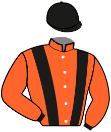 casaque portée par Gelormini G. jockey du cheval de course ENERGY KING GAR, information pmu ZETURF casaque portée par Gelormini G. jockey du cheval de course ENERGY KING GAR, information pmu ZETURF