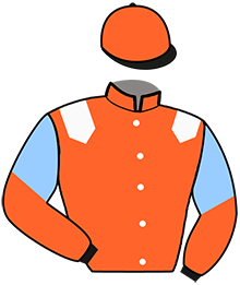 casaque portée par Lamy A. jockey du cheval de course LADY VICTORY, information pmu ZETURF casaque portée par Lamy A. jockey du cheval de course LADY VICTORY, information pmu ZETURF