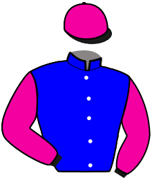 casaque portée par Nivard F. jockey du cheval de course DEPP DELL'OLMO, information pmu ZETURF casaque portée par Nivard F. jockey du cheval de course DEPP DELL'OLMO, information pmu ZETURF