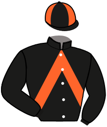 casaque portée par Rochard B. jockey du cheval de course JANIS SHOW, information pmu ZETURF casaque portée par Rochard B. jockey du cheval de course JANIS SHOW, information pmu ZETURF