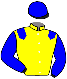 casaque portée par Demuro C. jockey du cheval de course BLU METAL JACKET, information pmu ZETURF