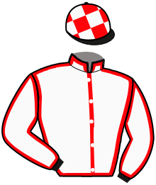 casaque portée par Westerink R. jockey du cheval de course LOUISDOR DECHAMBOU, information pmu ZETURF casaque portée par Westerink R. jockey du cheval de course LOUISDOR DECHAMBOU, information pmu ZETURF