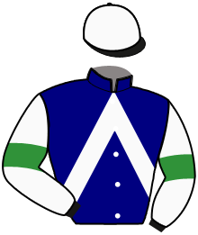 casaque portée par Castaing Mathieu Mme C. jockey du cheval de course ELIXIR DU GILET, information pmu ZETURF casaque portée par Castaing Mathieu Mme C. jockey du cheval de course ELIXIR DU GILET, information pmu ZETURF