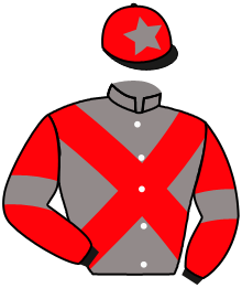 casaque portée par Lefebvre F. jockey du cheval de course LEADER DE SARTI, information pmu ZETURF