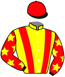 casaque portée par Rousset Y. jockey du cheval de course LADY DIVINE, information pmu ZETURF