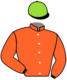 casaque portée par Phelippe Joe. jockey du cheval de course FATHER DAY, information pmu ZETURF