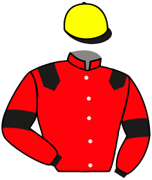 casaque portée par Dubourg K. jockey du cheval de course CROWN DU BERLAIS, information pmu ZETURF