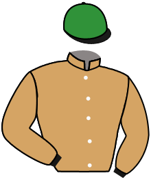 casaque portée par Mayeur R. jockey du cheval de course LOLLITA, information pmu ZETURF