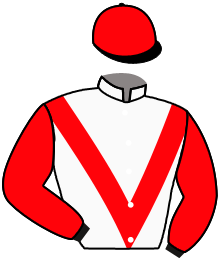 casaque portée par Prichard Mlle C. jockey du cheval de course TOURMALET, information pmu ZETURF