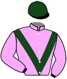 casaque portée par Zuliani L. jockey du cheval de course DERSKY, information pmu ZETURF casaque portée par Zuliani L. jockey du cheval de course DERSKY, information pmu ZETURF