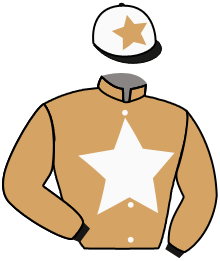 casaque portée par Reveley J. jockey du cheval de course NOBLE RUN, information pmu ZETURF casaque portée par Reveley J. jockey du cheval de course NOBLE RUN, information pmu ZETURF