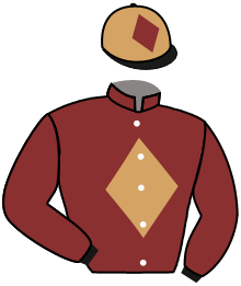 casaque portée par Manceau E. jockey du cheval de course HOLD THE HEART, information pmu ZETURF casaque portée par Manceau E. jockey du cheval de course HOLD THE HEART, information pmu ZETURF