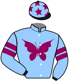 casaque portée par Weissmeier Mlle E. R. jockey du cheval de course ALATEMAGICBABY, information pmu ZETURF