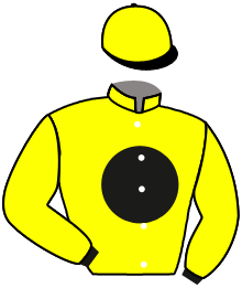 casaque portée par Fleury Mme Man. jockey du cheval de course RAZI, information pmu ZETURF casaque portée par Fleury Mme Man. jockey du cheval de course RAZI, information pmu ZETURF