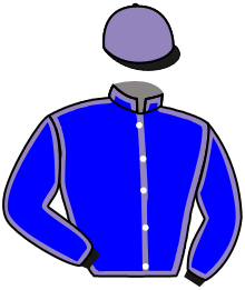 casaque portée par Bernard A. jockey du cheval de course MONT STEELE, information pmu ZETURF casaque portée par Bernard A. jockey du cheval de course MONT STEELE, information pmu ZETURF