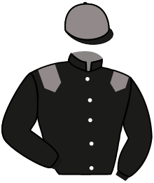 casaque portée par Rousseau L. jockey du cheval de course PLOTINUS, information pmu ZETURF casaque portée par Rousseau L. jockey du cheval de course PLOTINUS, information pmu ZETURF
