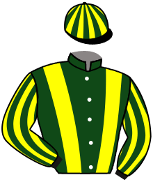 casaque portée par Planque S. jockey du cheval de course HEART OF A WARRIOR, information pmu ZETURF