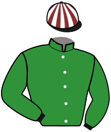 casaque portée par Mottier M. jockey du cheval de course HERCULE DES SABLES, information pmu ZETURF