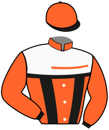 casaque portée par Briand Y. A. jockey du cheval de course EDY DU POMMEREUX, information pmu ZETURF casaque portée par Briand Y. A. jockey du cheval de course EDY DU POMMEREUX, information pmu ZETURF