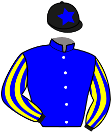 casaque portée par Sanchez Gar. jockey du cheval de course WARD KING, information pmu ZETURF casaque portée par Sanchez Gar. jockey du cheval de course WARD KING, information pmu ZETURF