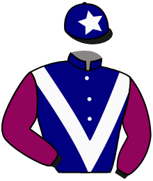 casaque portée par Gavilan Ale. jockey du cheval de course BOMBE LA VIE, information pmu ZETURF casaque portée par Gavilan Ale. jockey du cheval de course BOMBE LA VIE, information pmu ZETURF
