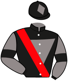 casaque portée par Seguy V. jockey du cheval de course CHEESE, information pmu ZETURF