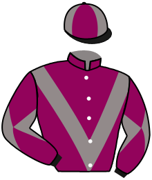 casaque portée par Crinon Mme Can. jockey du cheval de course TIGRE ROUGE, information pmu ZETURF casaque portée par Crinon Mme Can. jockey du cheval de course TIGRE ROUGE, information pmu ZETURF