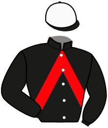 casaque portée par Ouvrie F. jockey du cheval de course LOMIL D'ECROVILLE, information pmu ZETURF casaque portée par Ouvrie F. jockey du cheval de course LOMIL D'ECROVILLE, information pmu ZETURF