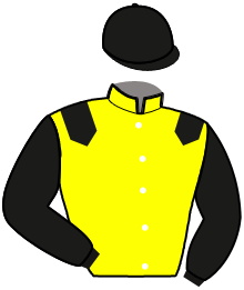 casaque portée par Lefebvre G. jockey du cheval de course LOUMY DU RILER, information pmu ZETURF casaque portée par Lefebvre G. jockey du cheval de course LOUMY DU RILER, information pmu ZETURF