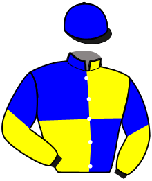 casaque portée par Danet P. jockey du cheval de course LAFAYETTE, information pmu ZETURF casaque portée par Danet P. jockey du cheval de course LAFAYETTE, information pmu ZETURF