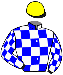 casaque portée par Koubiche Jér. jockey du cheval de course LA FEE PIYA, information pmu ZETURF