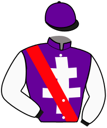 casaque portée par Sias Gio. jockey du cheval de course PERGOLOR, information pmu ZETURF