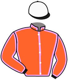 casaque portée par Sias Gio. jockey du cheval de course DAY MARINER, information pmu ZETURF casaque portée par Sias Gio. jockey du cheval de course DAY MARINER, information pmu ZETURF