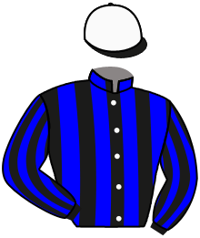 casaque portée par Germain Mlle M. jockey du cheval de course HASHTAG JOA, information pmu ZETURF casaque portée par Germain Mlle M. jockey du cheval de course HASHTAG JOA, information pmu ZETURF