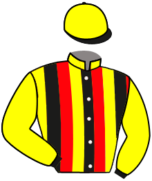 casaque portée par Valle Skar Mlle F. jockey du cheval de course ZANTARIO, information pmu ZETURF casaque portée par Valle Skar Mlle F. jockey du cheval de course ZANTARIO, information pmu ZETURF