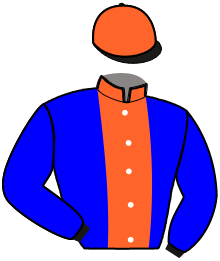 casaque portée par Collette A. jockey du cheval de course LEDORIKA, information pmu ZETURF