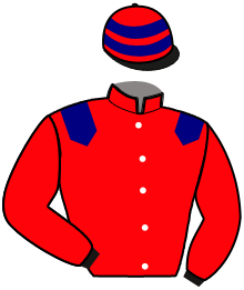 casaque portée par Dabouis A. jockey du cheval de course KAOURA THONIC, information pmu ZETURF casaque portée par Dabouis A. jockey du cheval de course KAOURA THONIC, information pmu ZETURF