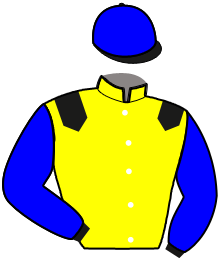 casaque portée par Popot A. jockey du cheval de course IVOIRE DAIRPET, information pmu ZETURF casaque portée par Popot A. jockey du cheval de course IVOIRE DAIRPET, information pmu ZETURF