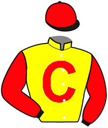 casaque portée par Braye K. jockey du cheval de course TUPPES, information pmu ZETURF casaque portée par Braye K. jockey du cheval de course TUPPES, information pmu ZETURF