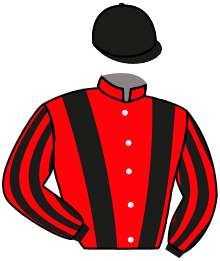 casaque portée par Valle Skar Mlle F. jockey du cheval de course CRISTAL ROCK, information pmu ZETURF casaque portée par Valle Skar Mlle F. jockey du cheval de course CRISTAL ROCK, information pmu ZETURF