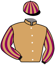 casaque portée par Boutin Hug. jockey du cheval de course EXCELSIOR, information pmu ZETURF