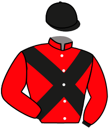 casaque portée par Lecoeuvre C. jockey du cheval de course CAMPELO, information pmu ZETURF