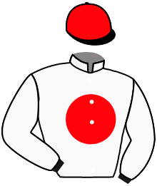 casaque portée par Planque S. jockey du cheval de course KABUKI A LA MOTTE, information pmu ZETURF casaque portée par Planque S. jockey du cheval de course KABUKI A LA MOTTE, information pmu ZETURF