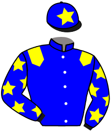 casaque portée par Lebouc Hug. jockey du cheval de course L'UNE BRUNE, information pmu ZETURF casaque portée par Lebouc Hug. jockey du cheval de course L'UNE BRUNE, information pmu ZETURF