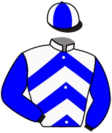 casaque portée par David Mme L. jockey du cheval de course DISCODJIM, information pmu ZETURF casaque portée par David Mme L. jockey du cheval de course DISCODJIM, information pmu ZETURF
