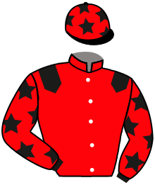 casaque portée par Justum M. jockey du cheval de course MOONJEZ, information pmu ZETURF casaque portée par Justum M. jockey du cheval de course MOONJEZ, information pmu ZETURF