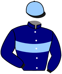 casaque portée par Boisseau L. jockey du cheval de course SUPERCLASS, information pmu ZETURF casaque portée par Boisseau L. jockey du cheval de course SUPERCLASS, information pmu ZETURF