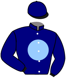 casaque portée par Boisseau L. jockey du cheval de course EXPRESSIVE, information pmu ZETURF