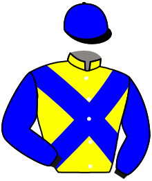 casaque portée par Prichard Mlle C. jockey du cheval de course LASCAR D'ESTRUVAL, information pmu ZETURF