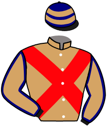 casaque portée par Riou C. jockey du cheval de course CLOTH OF SEA, information pmu ZETURF